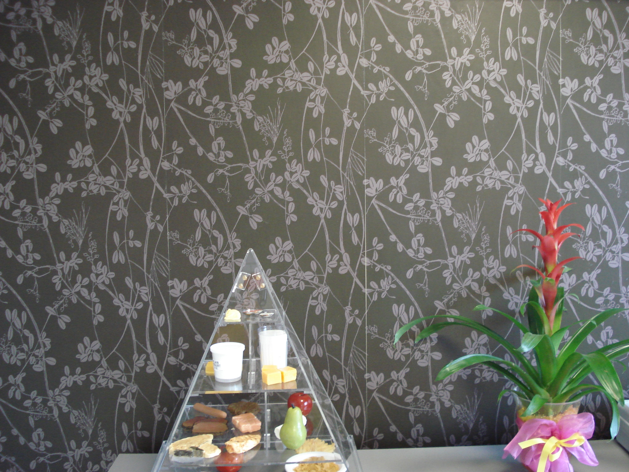 Γραφείο Διαιτολόγου - Εσωτερικό 3